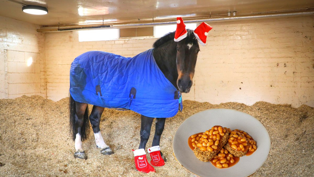 MerseyPolice's tweet image. 10 months of this for breakfast and our @MerPolMounted will be able to help Santa fly that sleigh of his! 🐎🌬️🌬️
