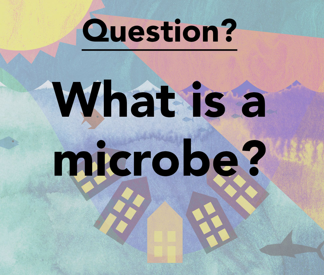 capapiecreative's tweet photo. Day 3 of our #HomeSchooling creative activities for #KS2. Today is all about microbes. 

The activity is inspired by the work of @dr_linatheo and Dr Sharon Velasquez from @EngineeringNCL. Their clever research is showing how microbes can help us tackle #ClimateChange. https://t.co/YRpFbFUeQS