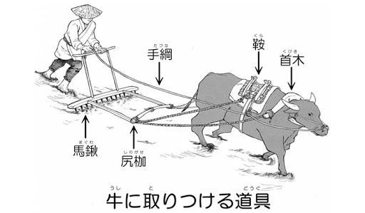 @Alexandra_Clear これを牛の代わりに女たちだけでやってたんですからね・・田舎は田舎で生き地獄だったんでしょう。

↓ 