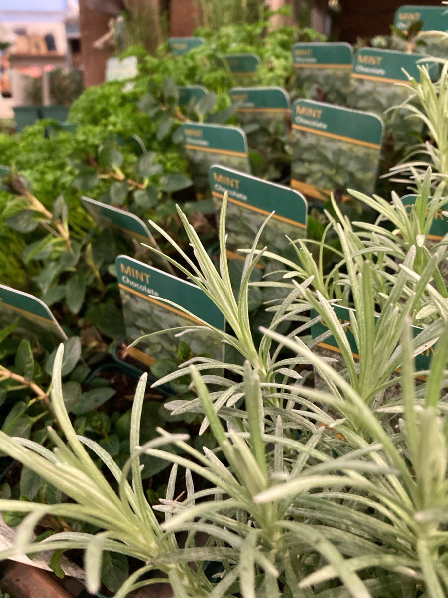 Alfresco Style tweet media