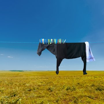 womensart1's tweet photo. 'Smoothie and Pegasus', two of artist Helga Stentzel's clothesline farm animals (via @Colossal ) #womensart https://t.co/SmuARcHqiH