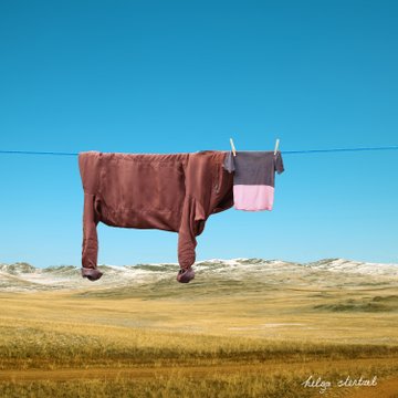 'Smoothie and Pegasus', two of artist Helga Stentzel's clothesline farm animals (via @Colossal ) #womensart