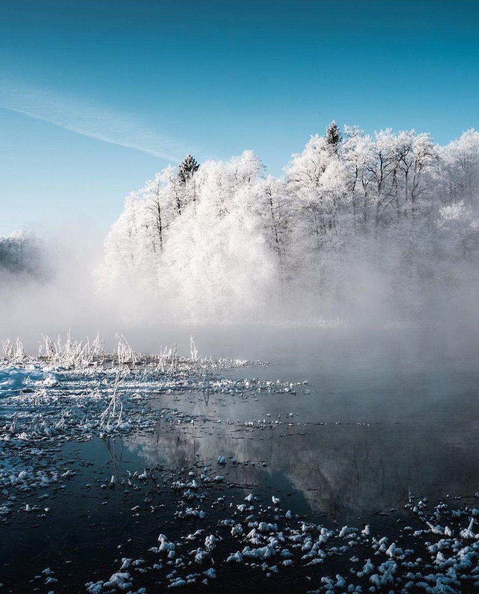 visitestonia's tweet photo. #Estonia is celebrating its 103rd #Independence Day today! 🇪🇪☀️ So let's sing, enjoy the day, look into the best possible future and take those sprat sandwiches out! 🙂

[📸: Priidu Saart, Instagram] https://t.co/6JX5R80PhH