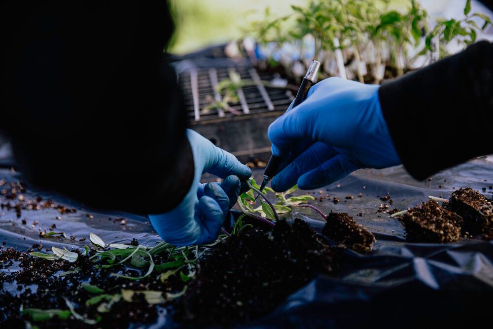 Spade & Plow Organics (spadeandplow) Twitter