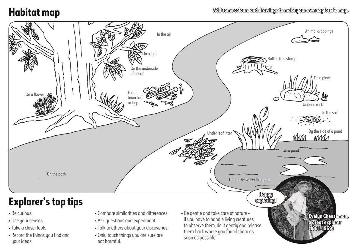Continuing Habitat Week for #NHMHomeworkClub! Today we’re going outside to look at microhabitats. These are small-scale, specific habitats which support the survival of certain animals or plants. This map shows you some examples. Who do you think might live in these places?