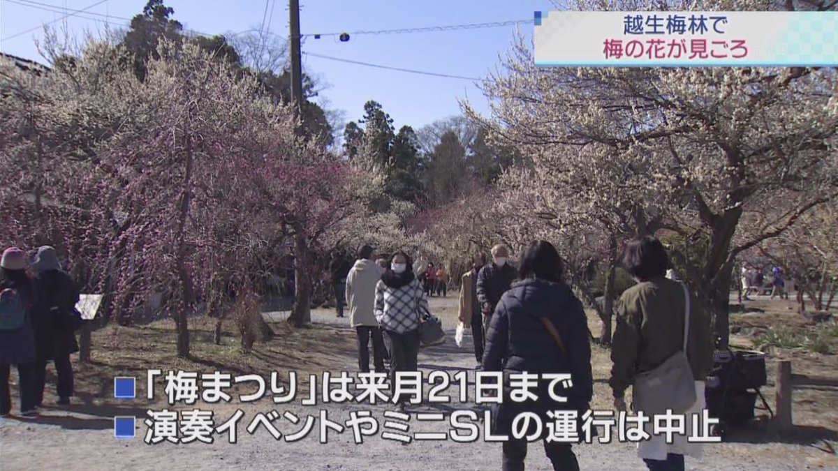 浦 和 の う な 坊 21 前を向いていこう 全集中でテレ玉応援 期待の新人とコラボ中 今日のニュース545 コロナ禍でも梅の花は咲き誇る 関東三大梅林の一つ 越生町の越生梅林では 梅の花が見ごろを迎えている 続き テレ玉 ニュース545 浦 和 の う な 坊 21 前を向いていこう 全集中でテレ玉応援 期待の新人とコラボ中 今日のニュース545 コロナ禍でも梅の花は咲き誇る 関東三大梅林の一つ 越生町の越生梅林では 梅の花が見ごろを迎えている 続き テレ玉 ニュース545