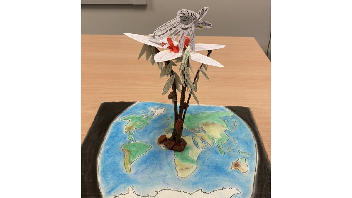 OxfordSparks's tweet image. Congratulations 🎉 to Simon Chauveau Depoil from @SchoolEOPS, winner of the 'Year 5' category in the #BeyondBoundaries 2020 schools' art competition! His work was inspired by @acheboate from @OxfordPlants 🌱 bit.ly/3d63MFp #cacaotree