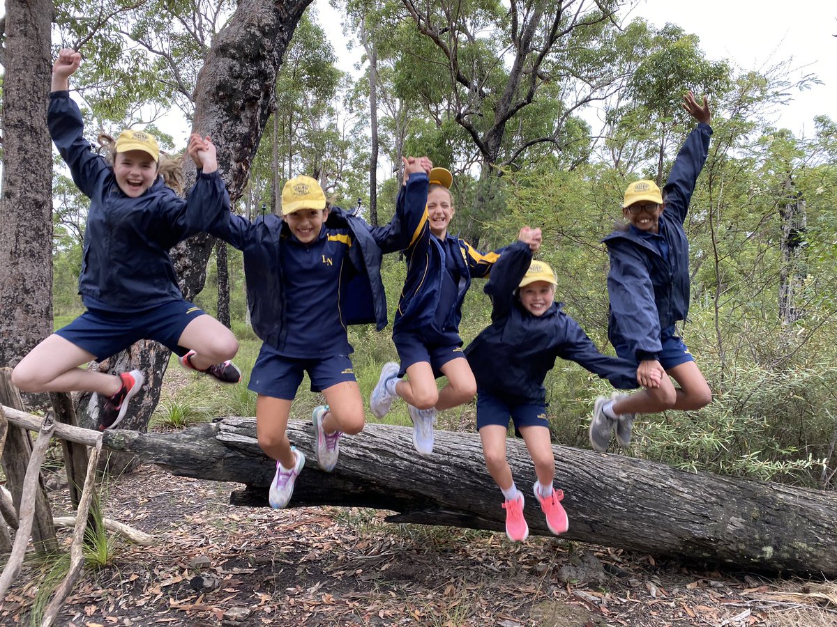 LoretoPrimary tweet media