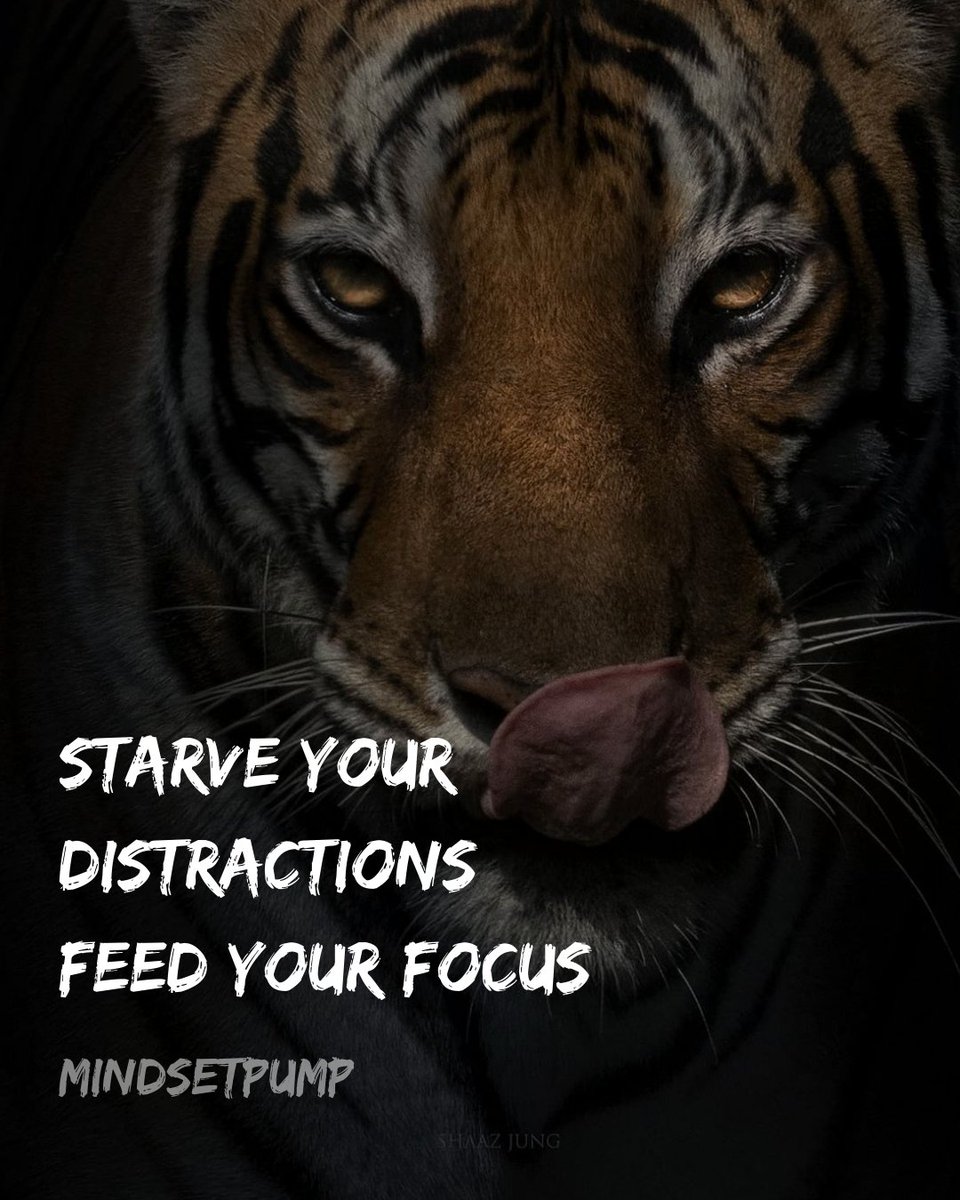 MindsetPump's tweet image. Once you start focusing only on what's important, and what's moving you forward. Then you will experience life as it should be. 💯 🔥
📸 @shaazjung
📜 @mindsetpump
mindsetpump.com/category/quote…
#focus #mindset #MotivationalQuotes
