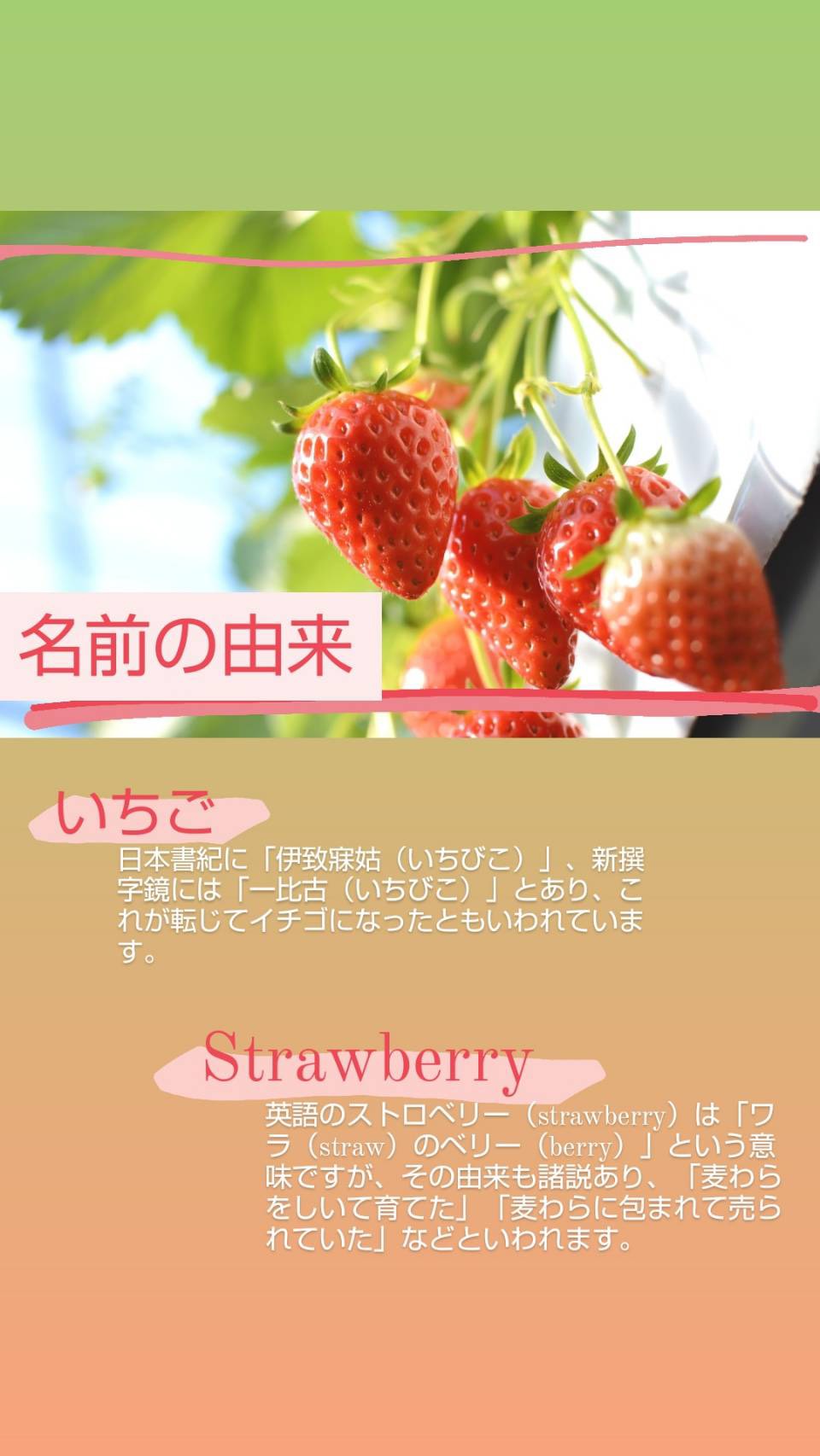 兵庫県立大学 学生団体木の子 Treehousekinoko Twitter