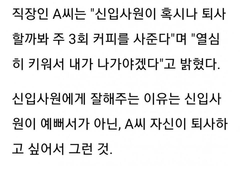 신입사원한테 잘해주는 이유