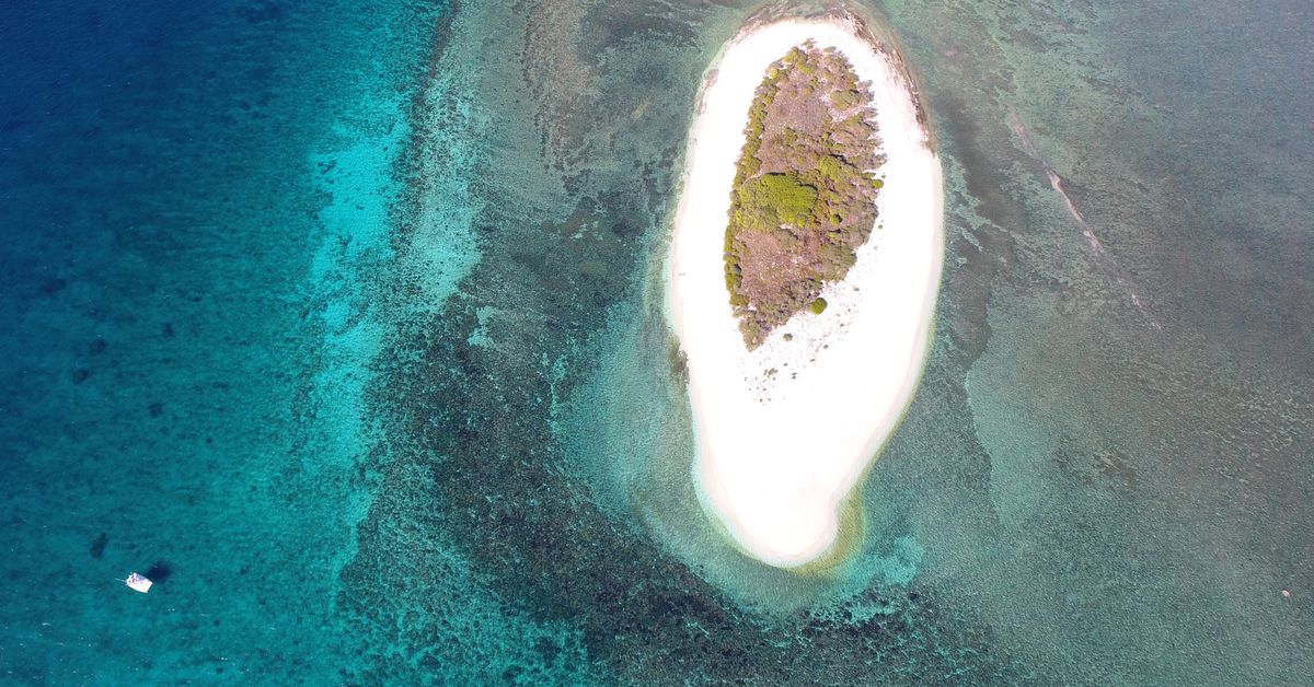 PopSci's tweet image. Only 13 percent of the world’s oceans are still wild popsci.com/marine-wildern…