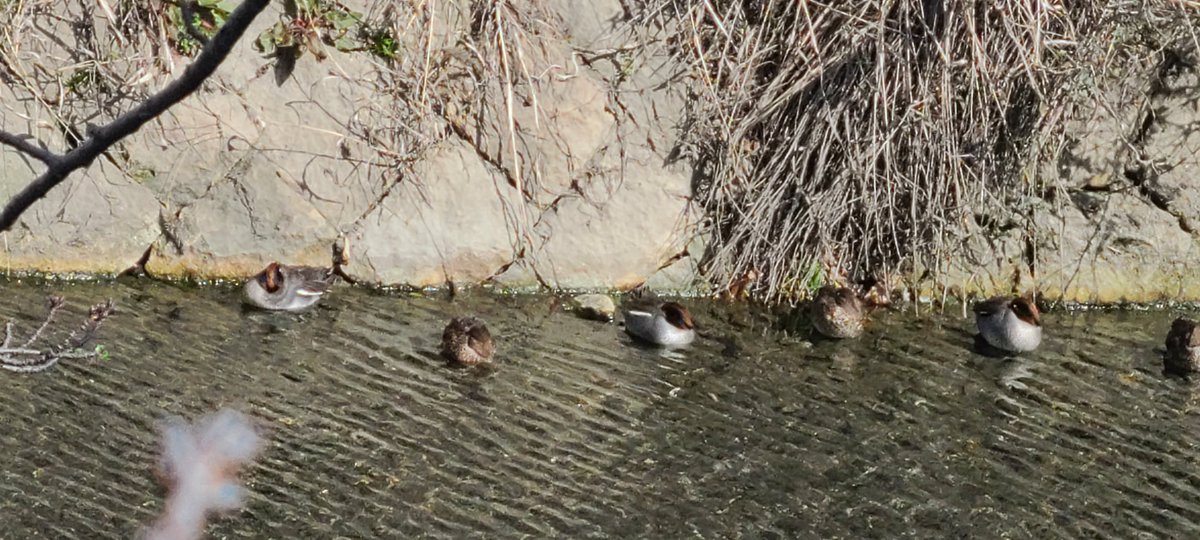 ソーシャルディスタンス