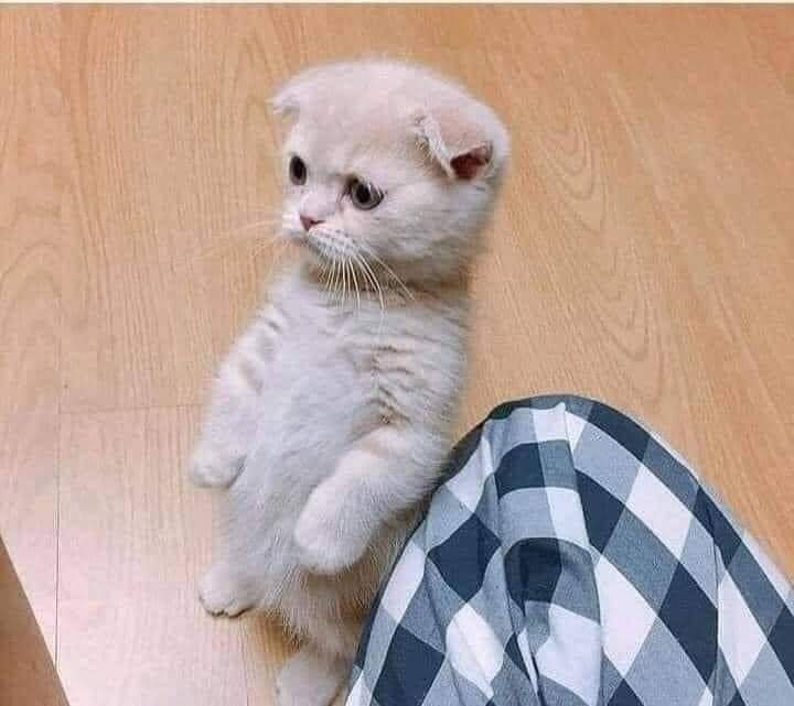 - يعني كده انا اتدبست في حياه الكبار دي خلاص ؟