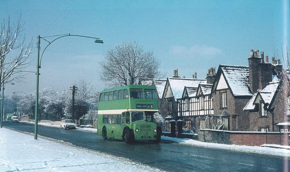 Angies Liverpool on Twitter "Bowring Park Road before it was