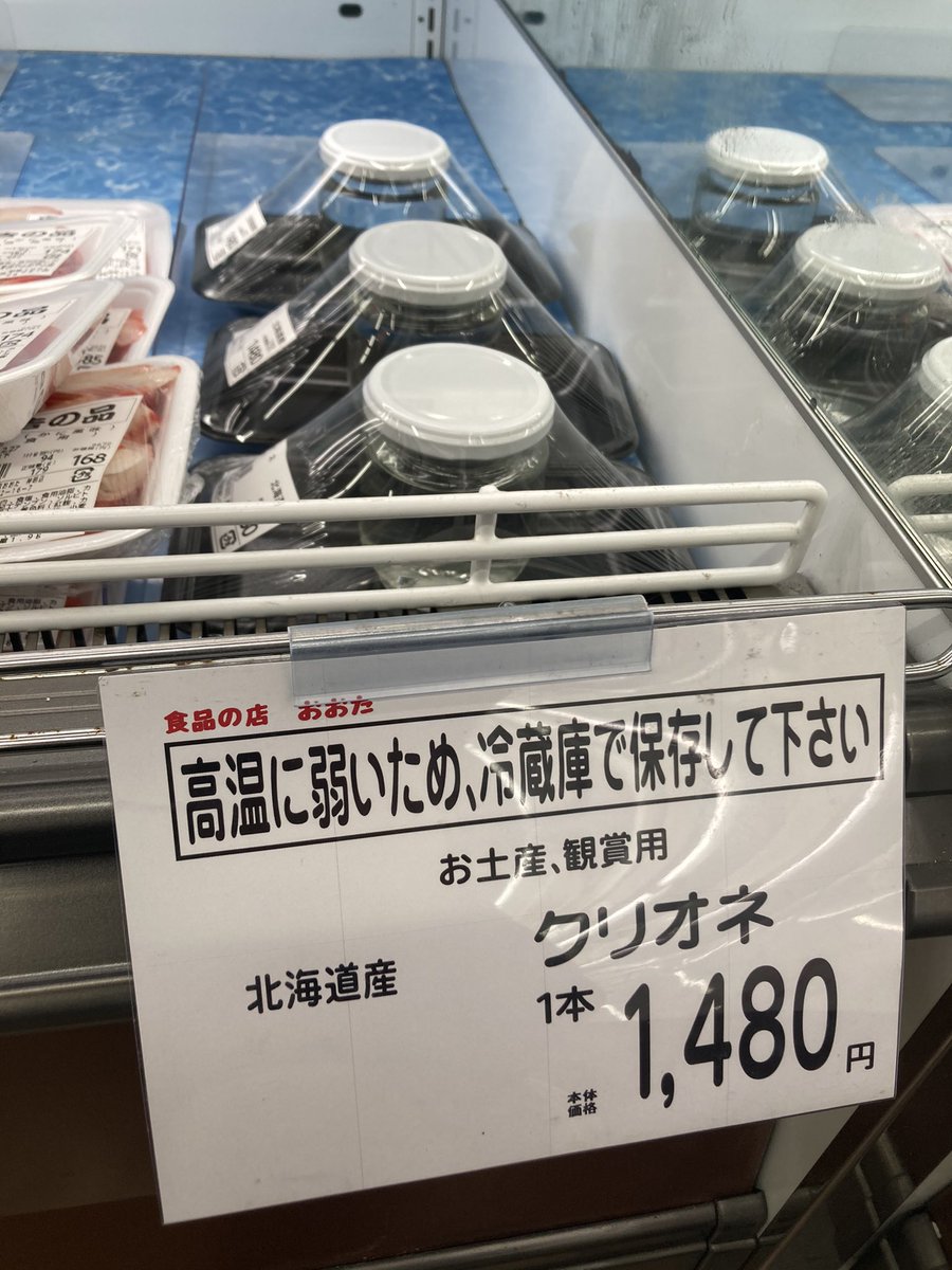 ひのみん なんで最近スーパーでクリオネが売られているのでしょうか 日野市以外でも 教えてわかるひと