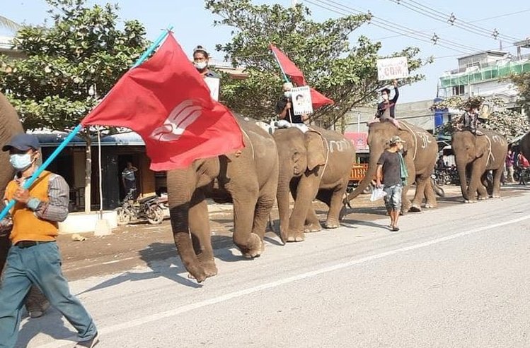 phyo maung maung win (@phyomau42101386) on Twitter photo 