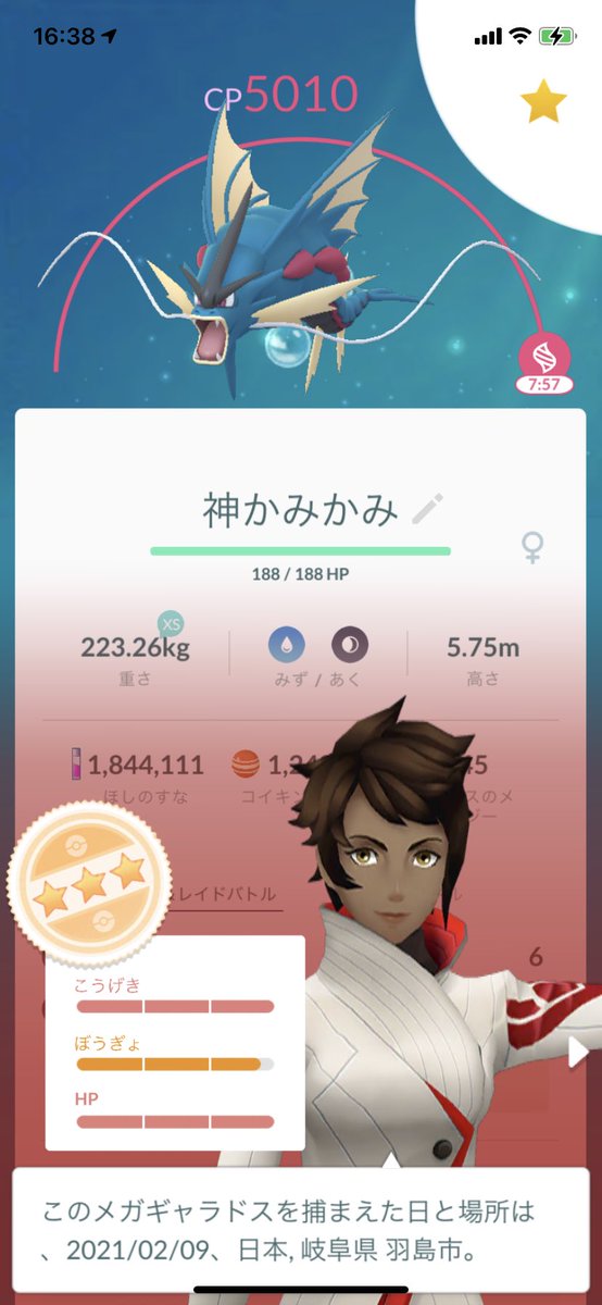 メガギャラドス Twitter Search メガギャラドス Twitter Search