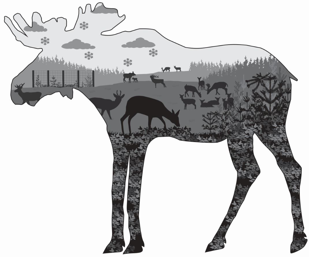 Sabine E. Pfeffer (@pfeffer_sabine) on Twitter photo This Friday at 9am (CET) I will defend my #PhD thesis "Impacts of multi-species #deer communities on #boreal forests across ecological and management scales" @_SLU <a href="/SLUwildresearch/">SLU Wild Research</a>.
You're most welcome to join my #defence via the #live stream at play.slu.se
📷N Fabri This Friday at 9am (CET) I will defend my #PhD thesis "Impacts of multi-species #deer communities on #boreal forests across ecological and management scales" @_SLU <a href="/SLUwildresearch/">SLU Wild Research</a>.
You're most welcome to join my #defence via the #live stream at play.slu.se
📷N Fabri
