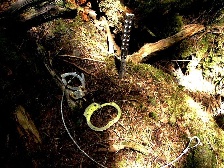 樹海の落とし物外伝 Twitter Search Twitter