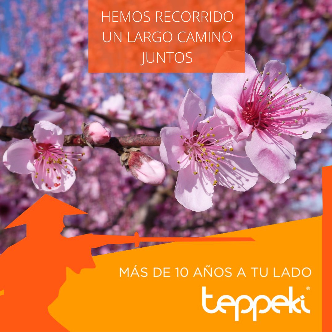 BelchimEspana's tweet photo. ¡No lo olvides! Queremos premiar tu confianza acompañando la compra de #Teppeki con una botella de #Vino de la región. Además, podrás ganar una de las tres cestas gastronómicas que sorteamos +Info 🎯https://t.co/A44XADxWWR y en tu distribuidor habitual 💚👍 https://t.co/Vzhcx1j5qc
