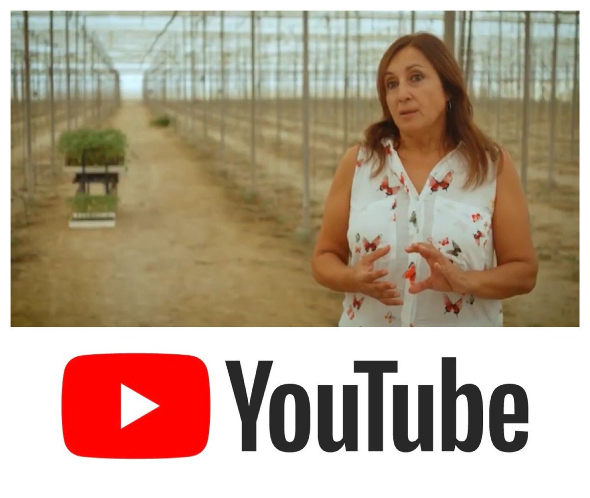 FempesM's tweet photo. 🟣 “El campo, la agricultura y la ganadería se asocian con trabajo masculino”
👩🏻 Inmaculada Idáñez, presidenta de #FEMPES 
📽 Fragmento del documental “Emprendedoras andaluzas” sobre estereotipos profesionales. En nuestro canal de @YouTube 
📌 https://t.co/sdQh8tw7rq https://t.co/3LIzopfxV2