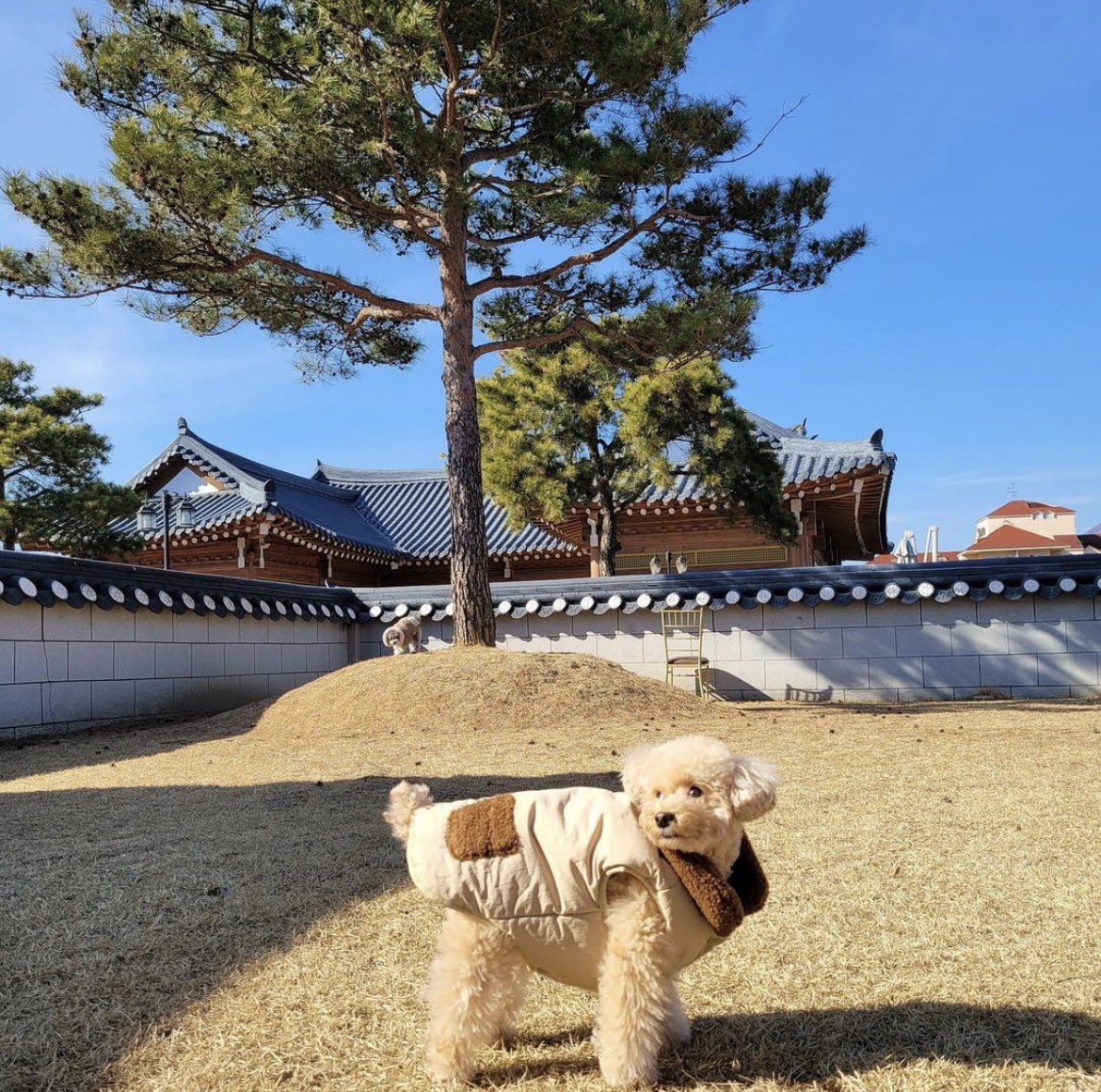 Silver___22's tweet photo. 이게 얼마마니야 https://t.co/90k0ZOzUqh
