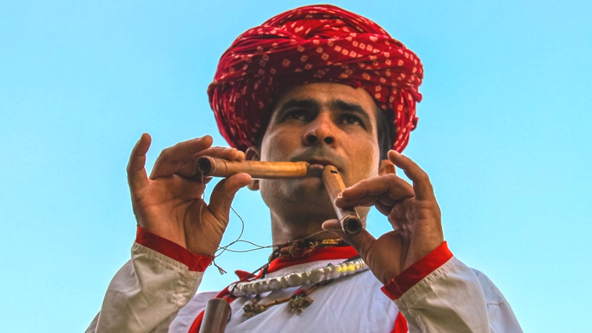 Algoja instrument 2024
