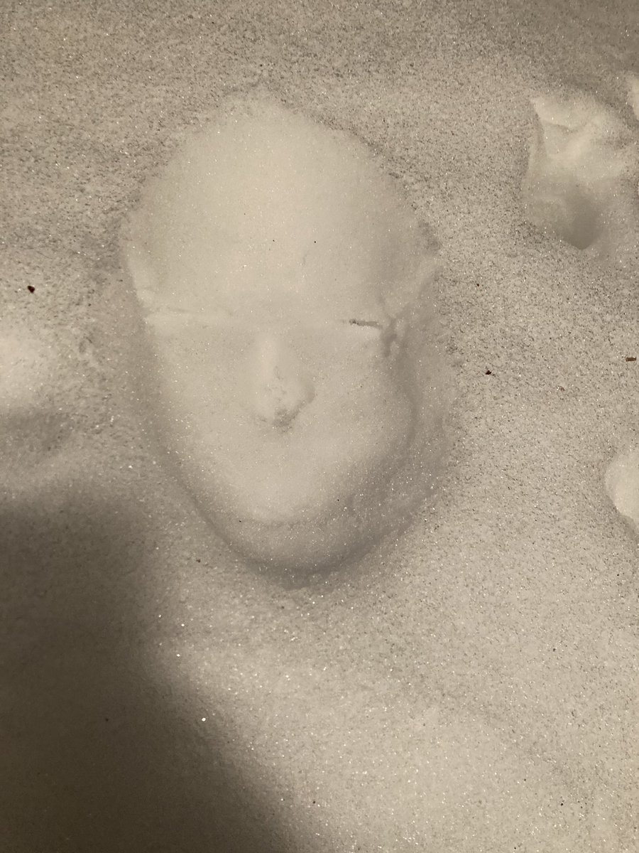 ModePj's tweet image. Smash your face in the snow challenge