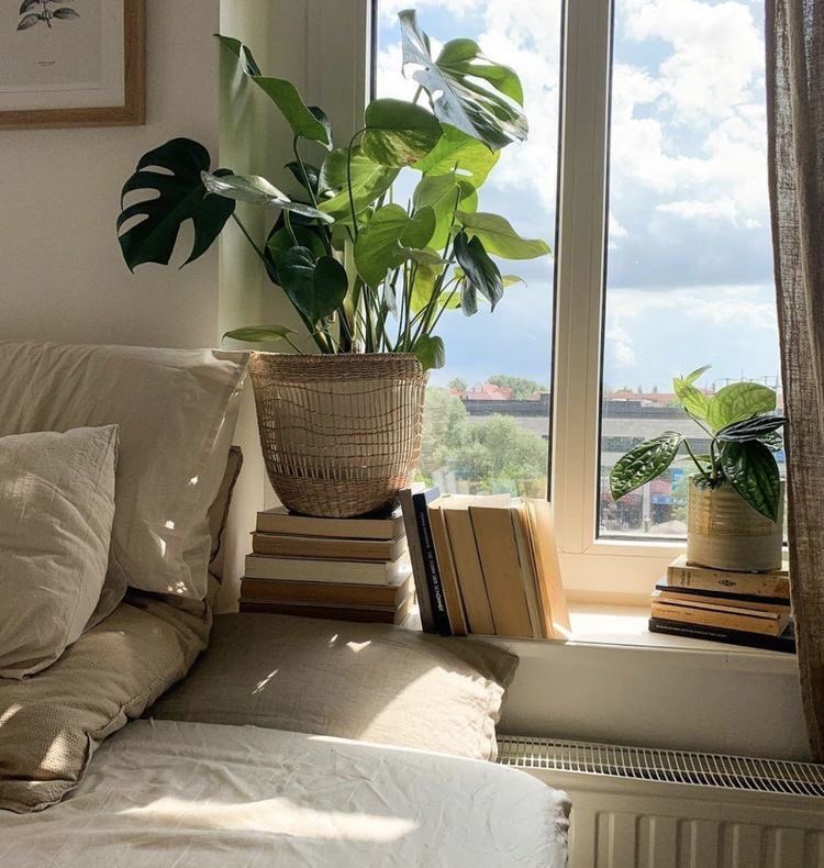 ِ tweet media