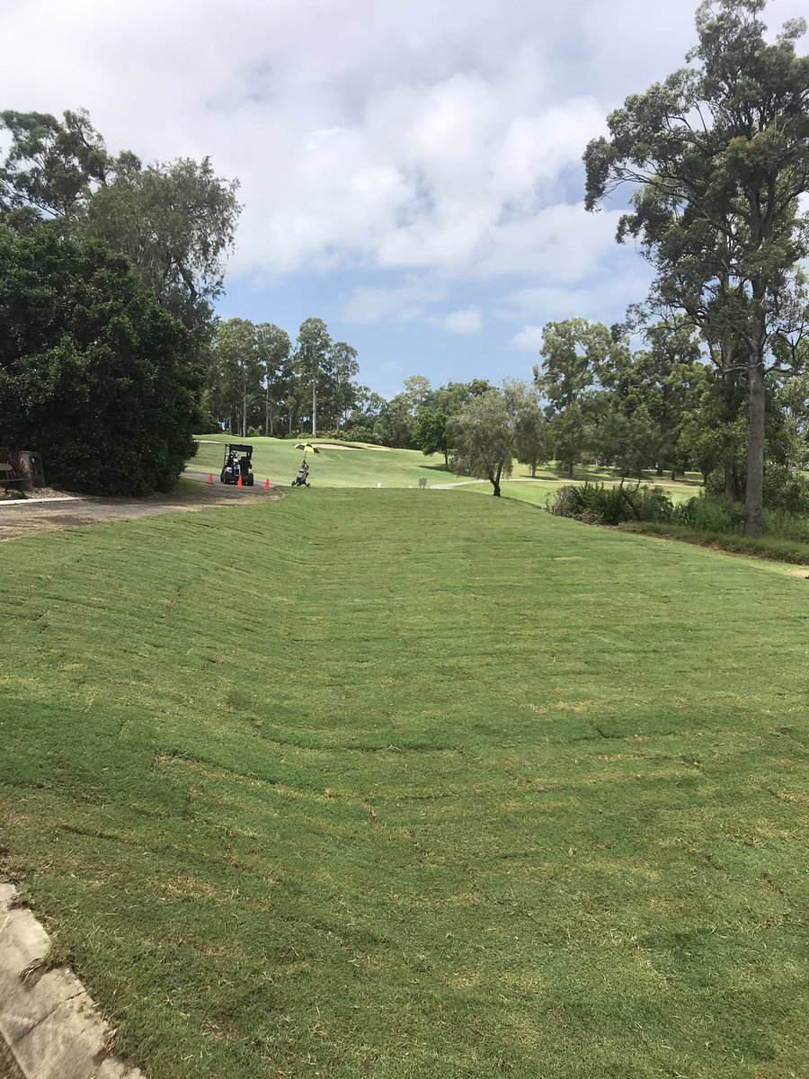Ben Tilley (@headlandsuper) on Twitter photo Turf down on 5th tee today. Job done 😎<a href="/GlobalTurf3/">Global Turf</a>              #LevelTee# Turf down on 5th tee today. Job done 😎<a href="/GlobalTurf3/">Global Turf</a>              #LevelTee#