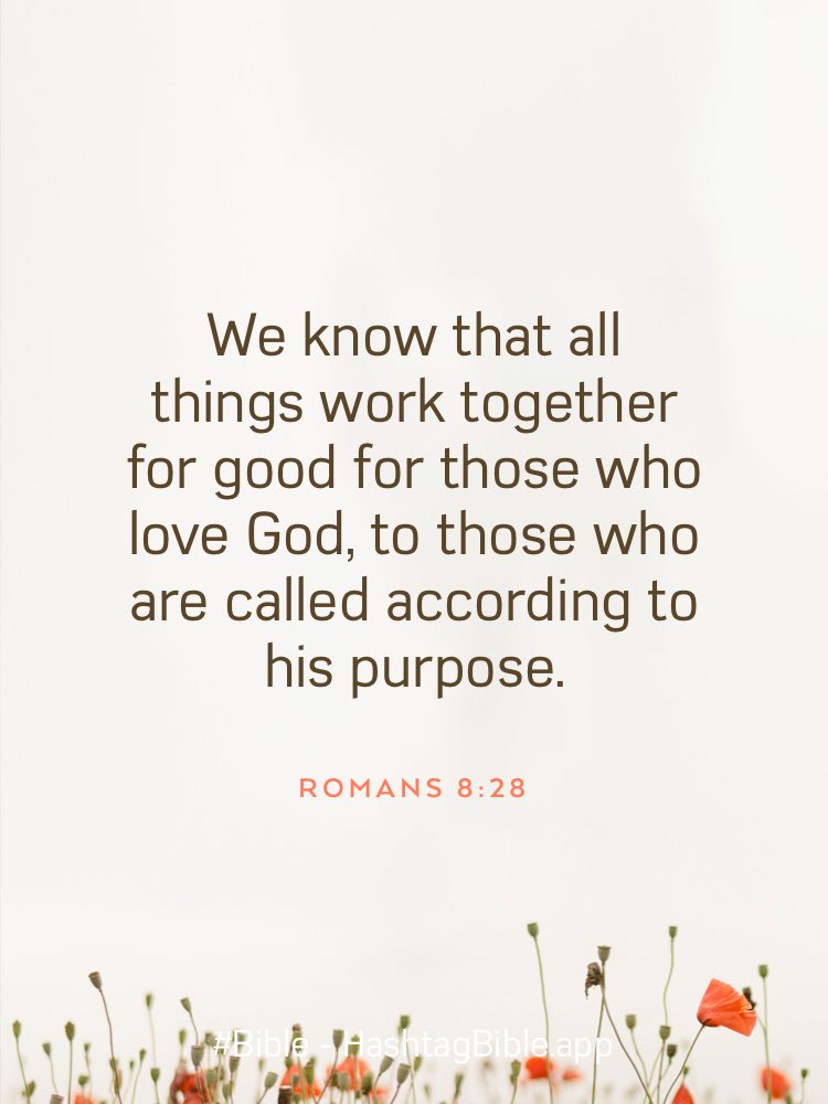 ChanksRed's tweet image. 