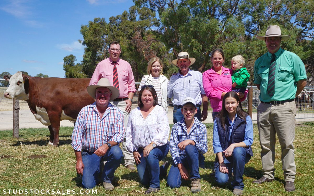 Kerlson Pines Poll Herefords Dispersal, SA - 121 cows &amp; calves sold to $27,000 (Kerlson Pines Last Day L24 to Kianma Poll Hereford Stud &amp; Granite Hill Hereford Stud) &amp; av. $6281 &amp; 32 PTIC heifers sold to $15,000 (Kerlson Pines Regal Q002 to Reevesdale Herefords) &amp; av. $5209.