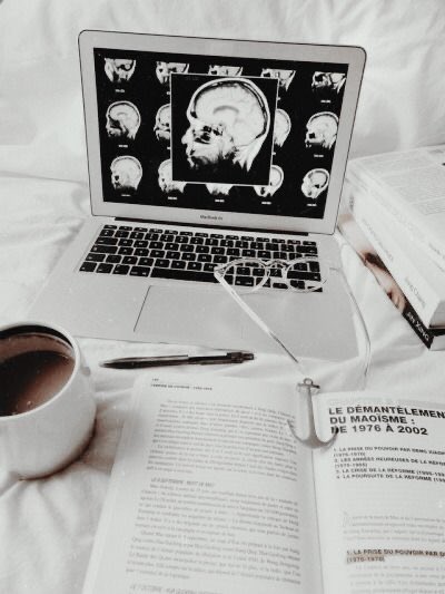 𝐎𝐋𝐈𝐕𝐄𝐑 𝐒𝐓𝐄𝐖𝐀𝐑𝐓

        residente de psicología 
            ┄┄┄┄┄┄┄┄
             @dyingtcbelieve