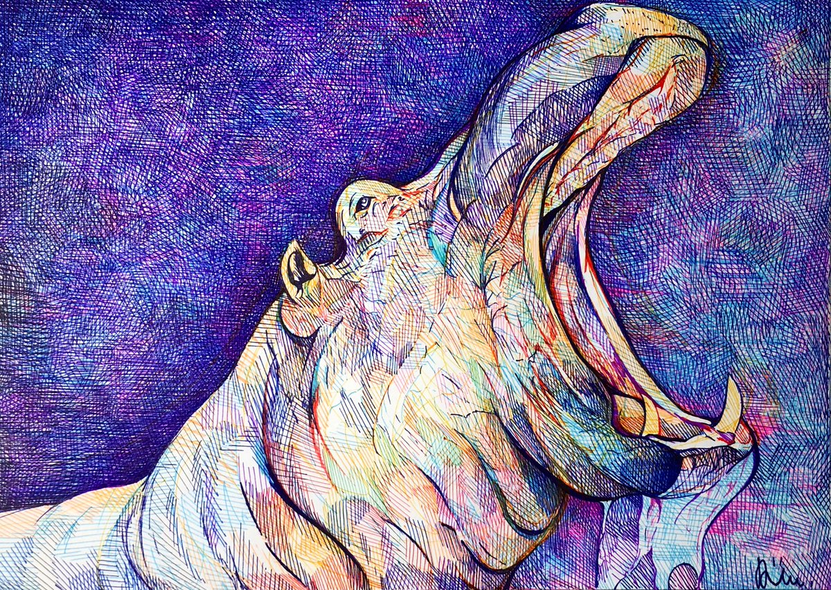 カバさん描きました 大きく口を開けた時の迫力がすごい ボールペン画 けんしん 11月フォロワー様との仲を深めたいのイラスト