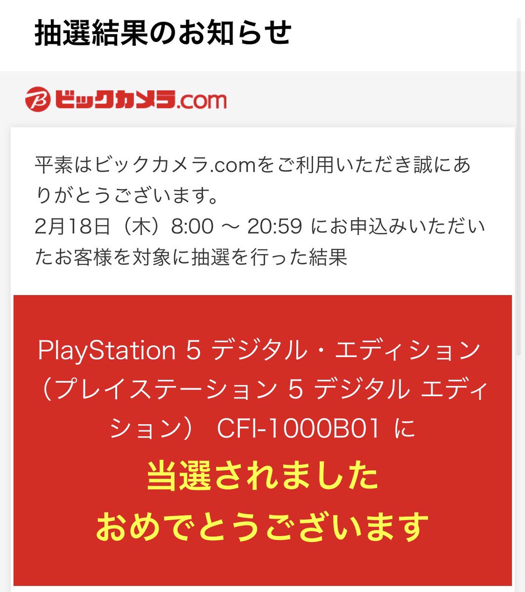 ビッグカメラ ビッグカメラ