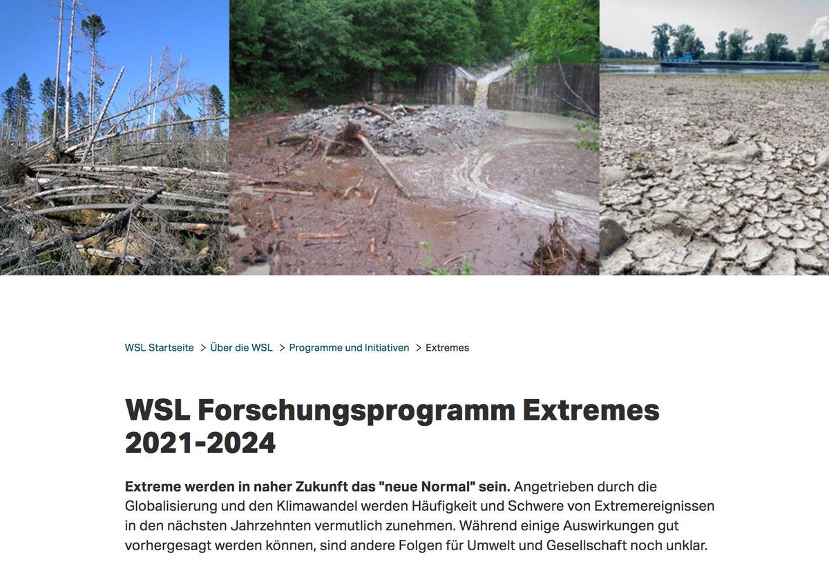 Extremes_WSL tweet media