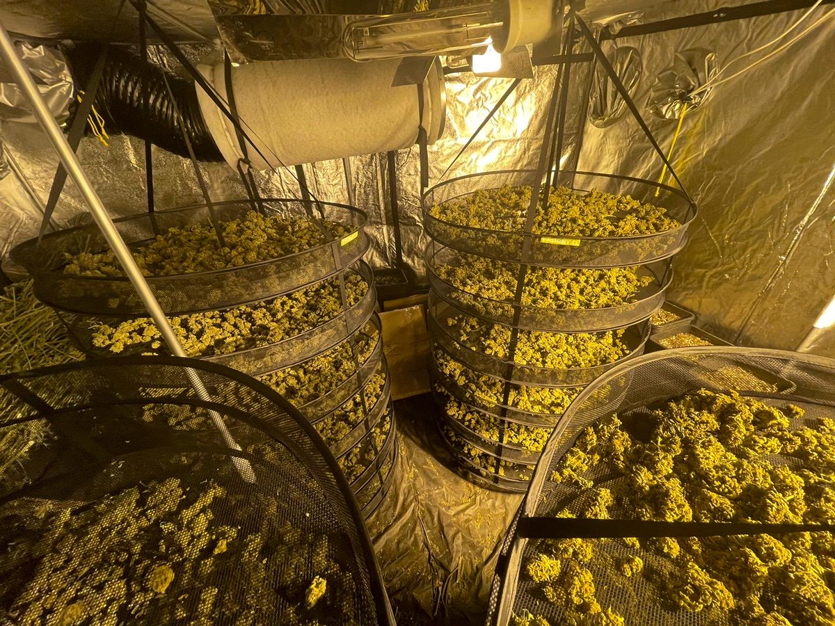 Melding recherche Schaepmanweg Wassenaar