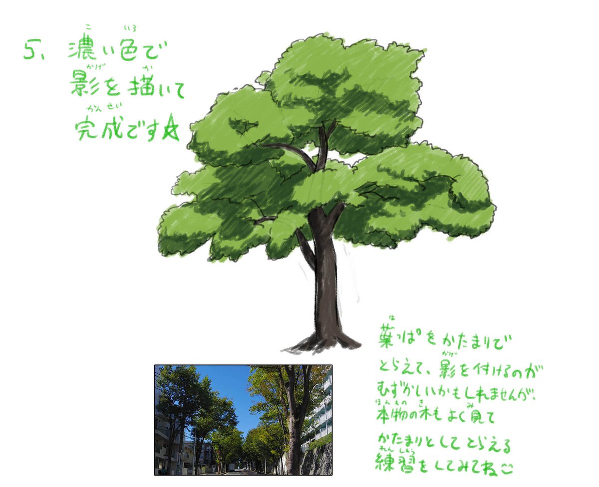 お絵描き教室オンライン、今日も楽しく完了しました!🖥️😊
先週の授業で生徒さんが「木の描き方が分からない」と言ってたので、木の描き方の資料を作りました✍️
その資料の内の一部を掲載🌟
#宮前区 #お絵かき教室
#イラスト #絵描きさんと繋がりたい #イラスト好きな人と繋がりたい