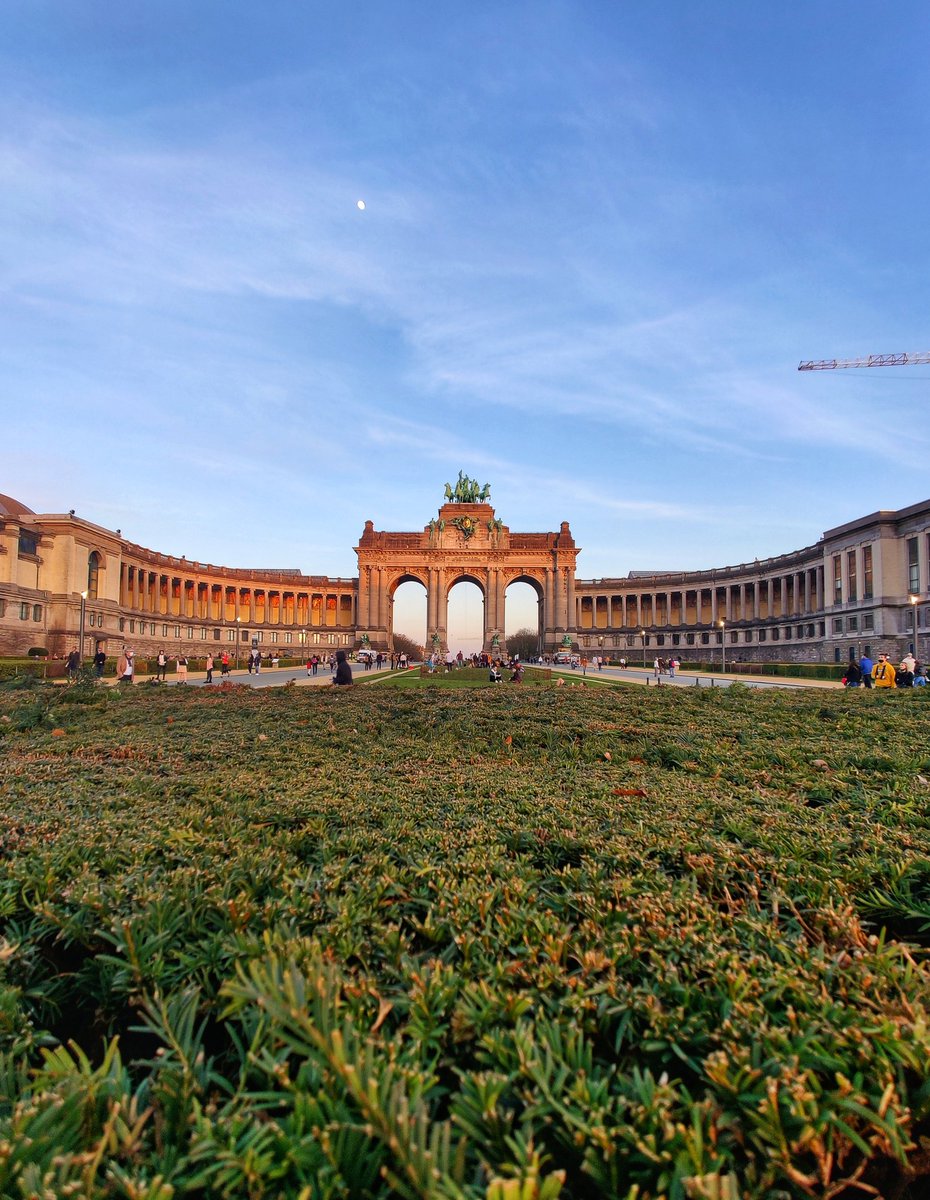 Arianna Rizzi 🇪🇺 tweet media