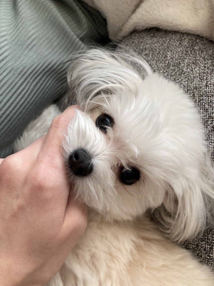 くるちゃん (@2LZjHd18PwvCzWm) / Posts / X