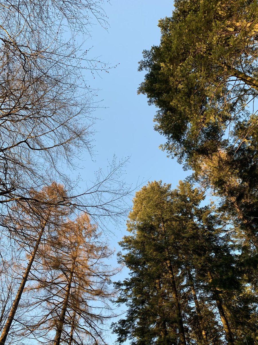 senfnascher's tweet photo. weekend spring vibes https://t.co/Mmb1bs0DtH