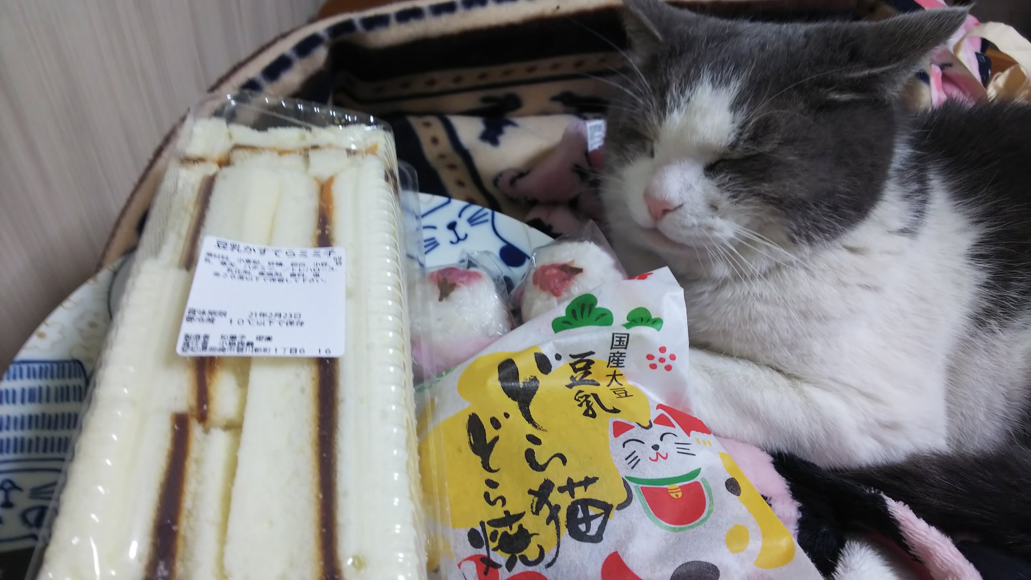 どら猫どら焼き Twitter Search Twitter