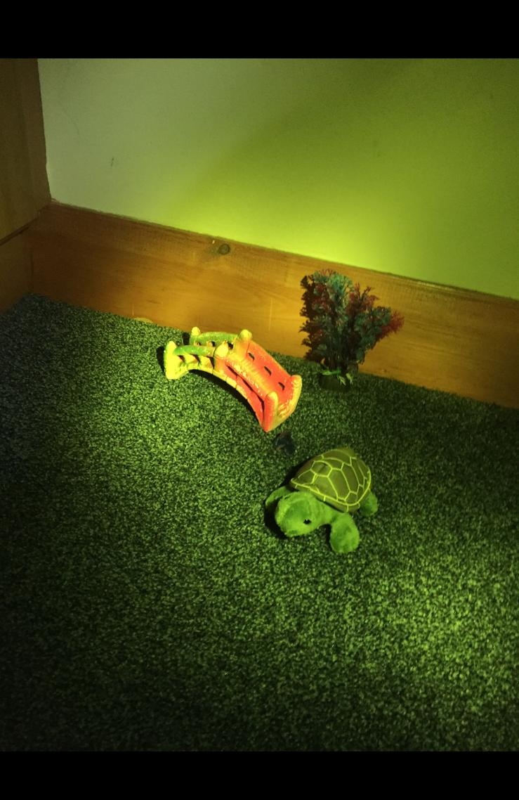 Happy new half-term! The drama department are so excited to be back live on Teams with you!  Already the AMAZING work is flooding in!

KS3 are looking at light design this week. This morning some of our Year 7's have created some very creative and effective work...well done👏🎭🔦