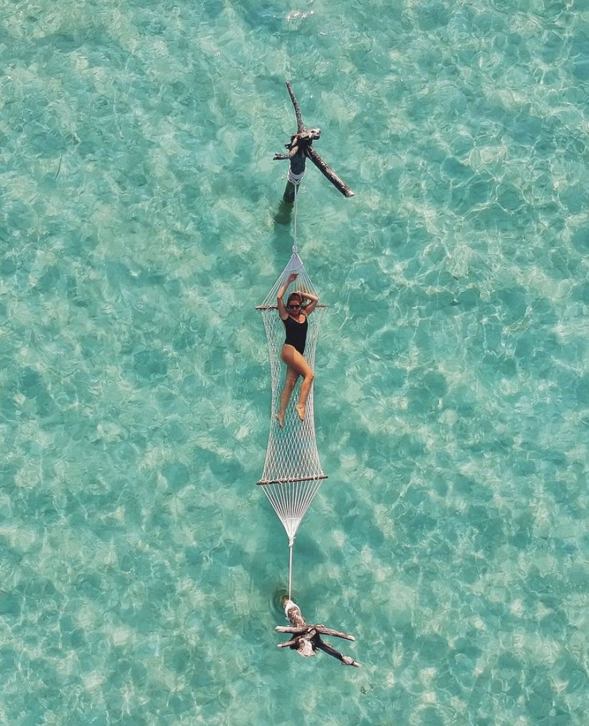 Igers Gallery tweet media