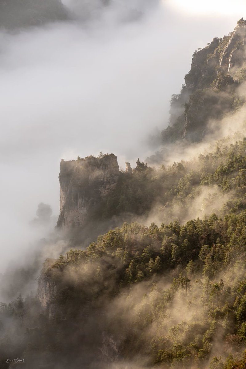lozeretourisme's tweet photo. Quand la #nature se réveille, les premiers rayons de #soleil viennent transpercer la brume🌤 Les #vautours en profitent pour sécher leur ailes avant de prendre leur envol🦅

A découvrir depuis le #pointsublime👉 https://t.co/RAl4J3b7CQ

📷 Lozère Sauvage👏
#lozere #lozeretourisme https://t.co/2jSasnTQeA