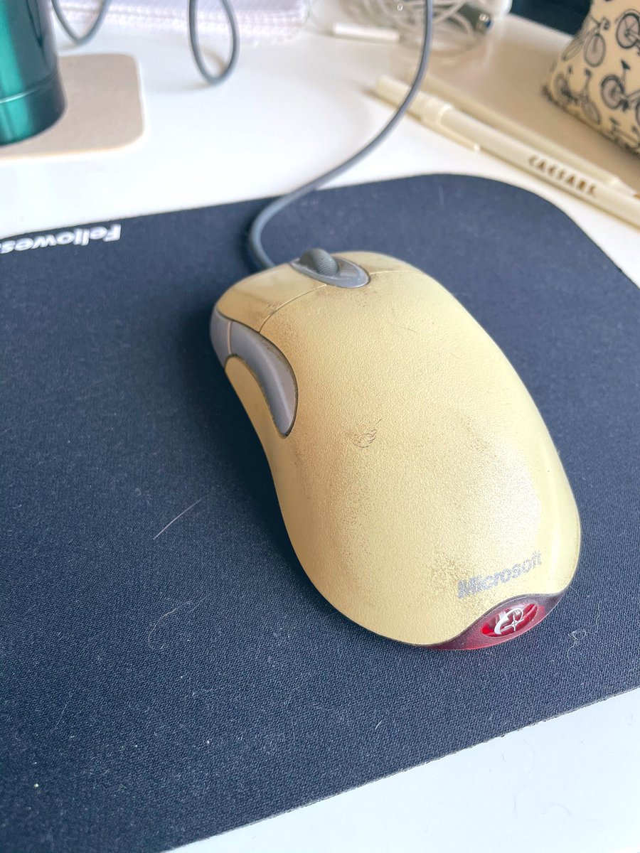 Tinaargh's tweet photo. @aniella Grüße von der Zweitgeborenen im Homeoffice nebenan <3 https://t.co/ebuqCoRe9G