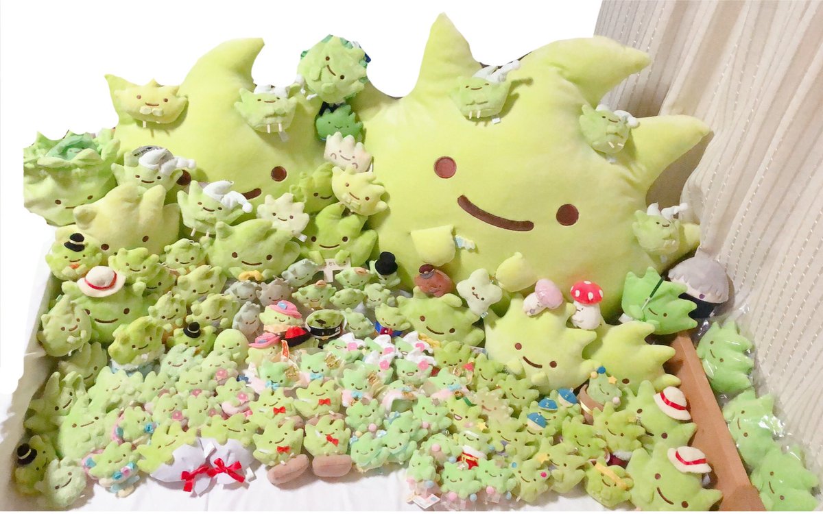 mmmg_222's tweet photo. 昨日一生懸命ならべたざっそう🌱💚
並べきれてないざっそうがいるという恐怖 https://t.co/cBBda5fQ8S