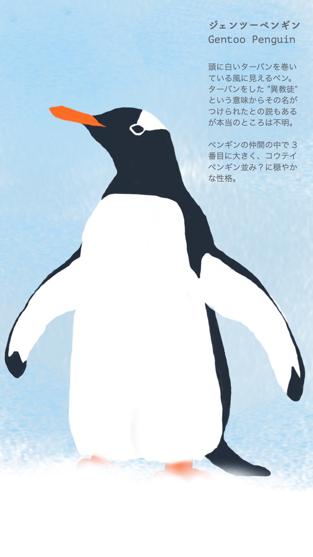 Cucurbita Pepop ジェンツーペンギン ピーチ色のくちばしと脚 ターバンがポイントです あと ペンギンの中で一番しっぽが大きい 長い ジェンツーペンギン ペンギン イラスト イラスト好きさんと繋がりたい T Co Kgjuvpprv2 Twitter