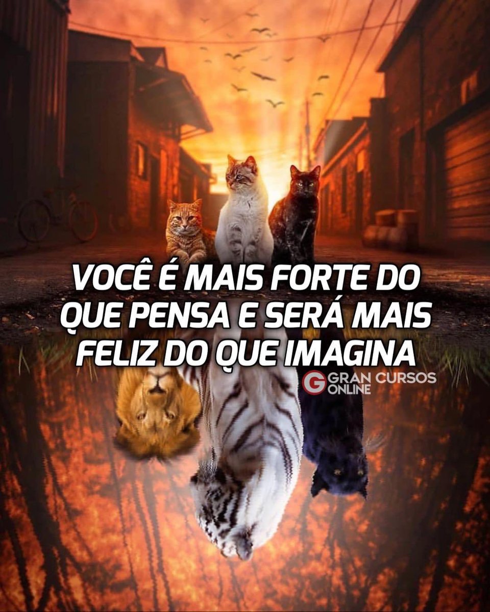 gran_online's tweet photo. O melhor ainda está por vir! ❤️ https://t.co/HQhHczDSll